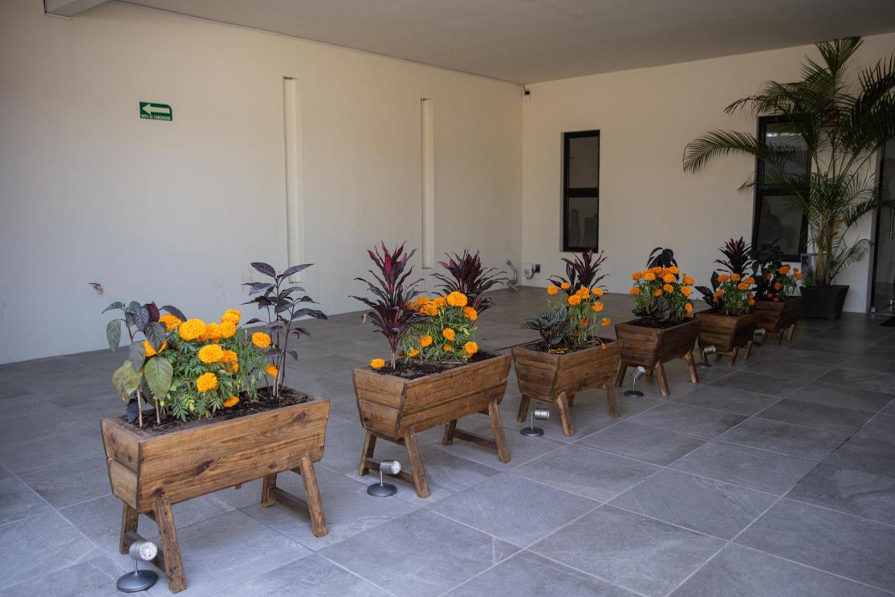 Hotel Casa Jima Agave Текила Екстериор снимка
