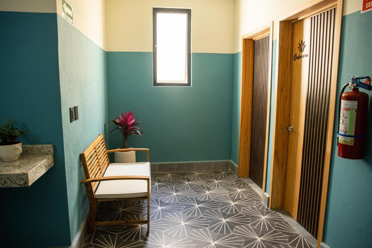 Hotel Casa Jima Agave Текила Екстериор снимка